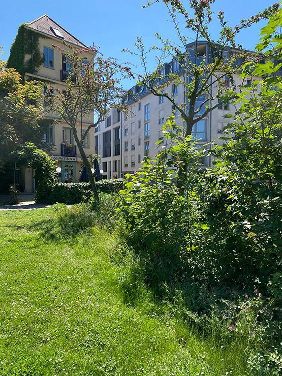 Apartment Apartment-august Am Park-rabet *